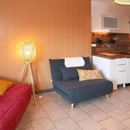 Apartment Equipe Pour 4 Au Pied Des Pistes, Balcon, Animaux Admis - Fr-1-322-467